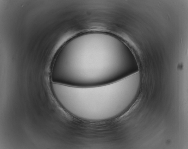 X0000101481325200807071234