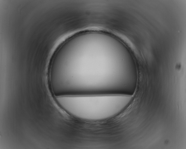 X0000101481327200807071234