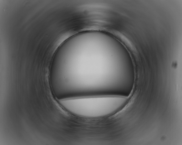 X0000101481329200807071234