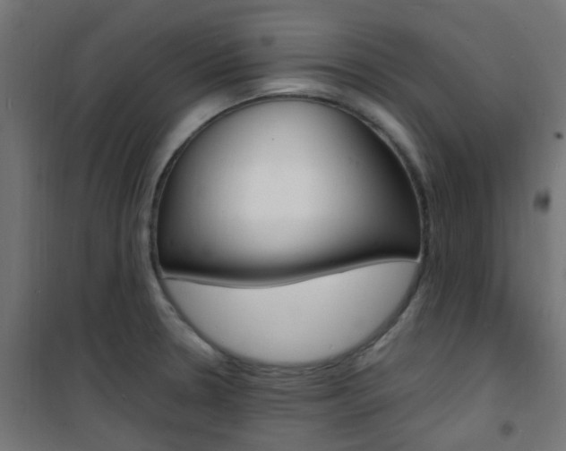 X0000101481330200807071234