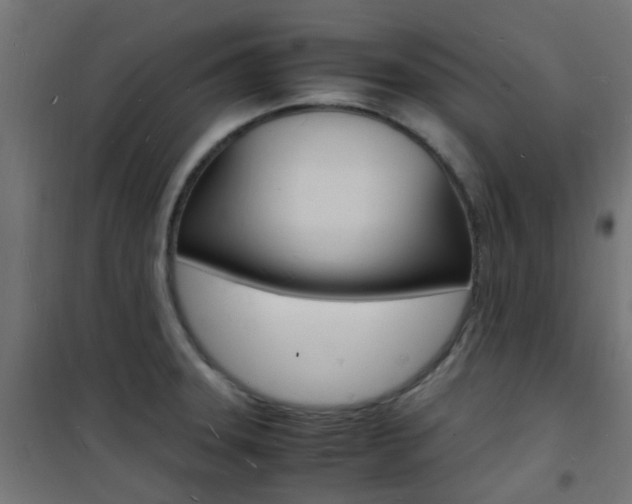 X0000101481331200807071234