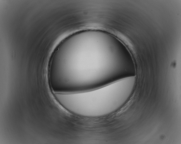 X0000101481334200807071234