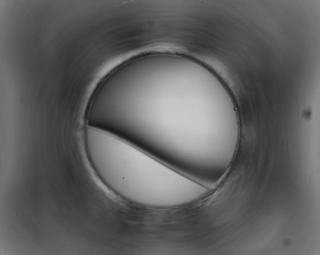 X0000101481335200807071234