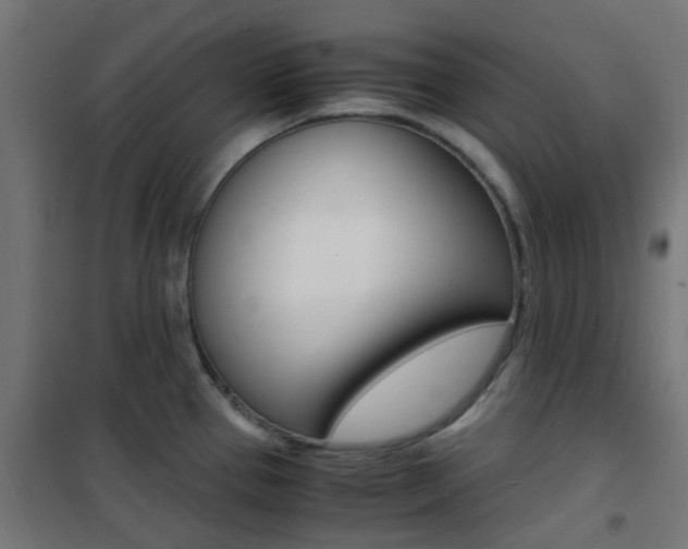 X0000101481337200807071234