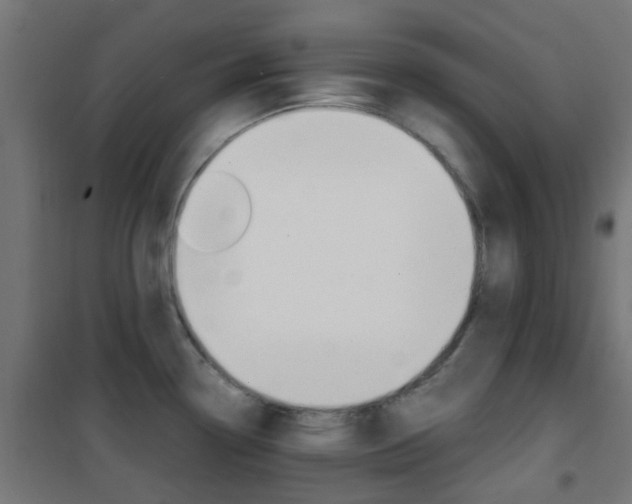 X0000101481338200807071234
