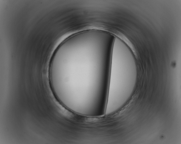 X0000101481339200807071234