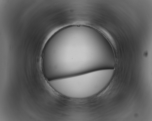 X0000101481340200807071234