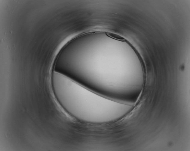 X0000101481341200807071234