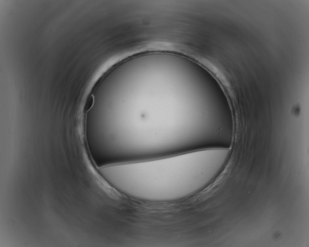 X0000101481342200807071234
