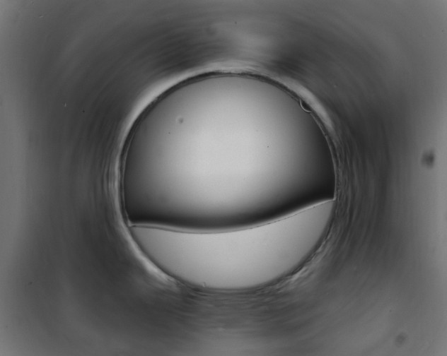 X0000101481343200807071234