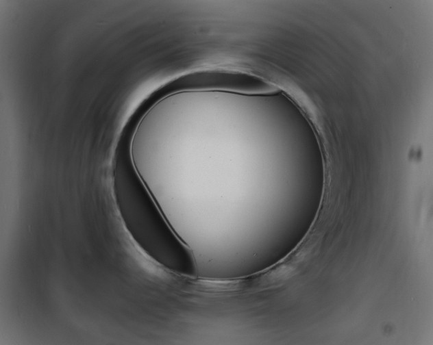 X0000101481344200807071234