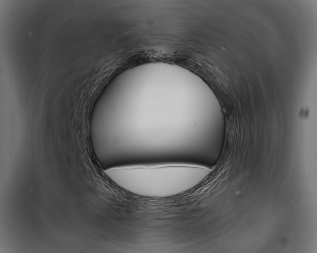 X0000101481345200807071233
