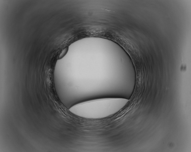 X0000101481346200807071233