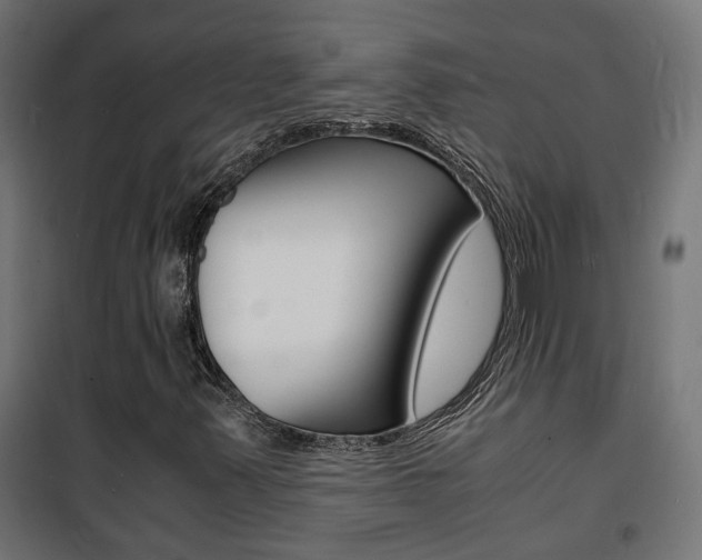 X0000101481347200807071233