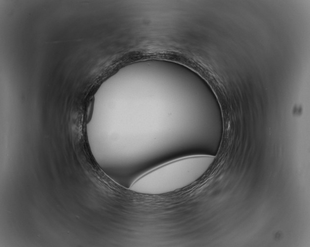 X0000101481348200807071233