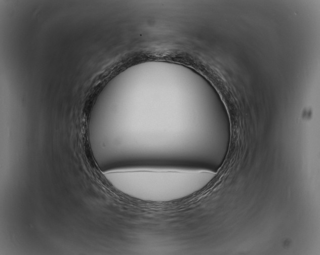 X0000101481349200807071233