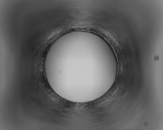 X0000101481350200807071233