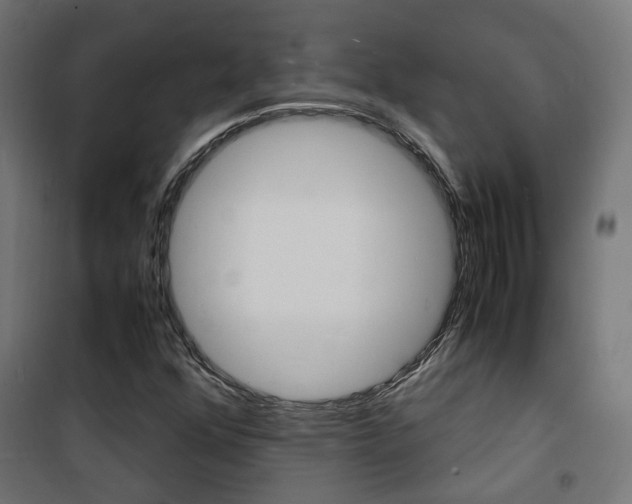 X0000101481352200807071233