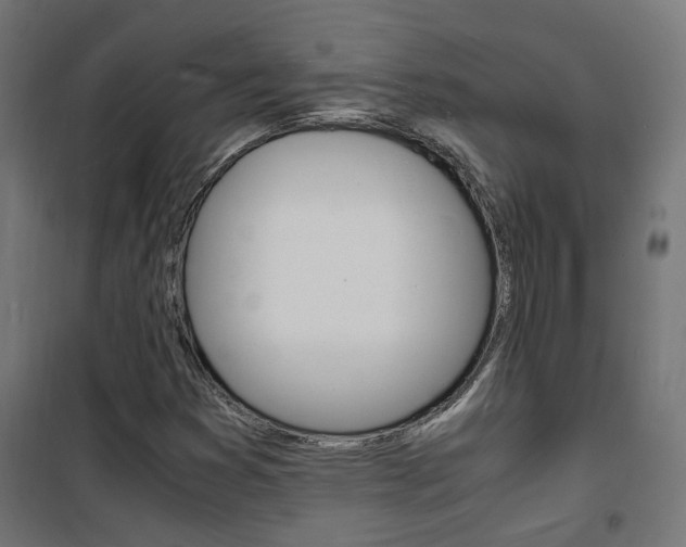 X0000101481353200807071233