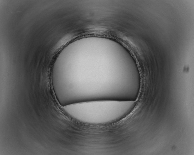 X0000101481354200807071233