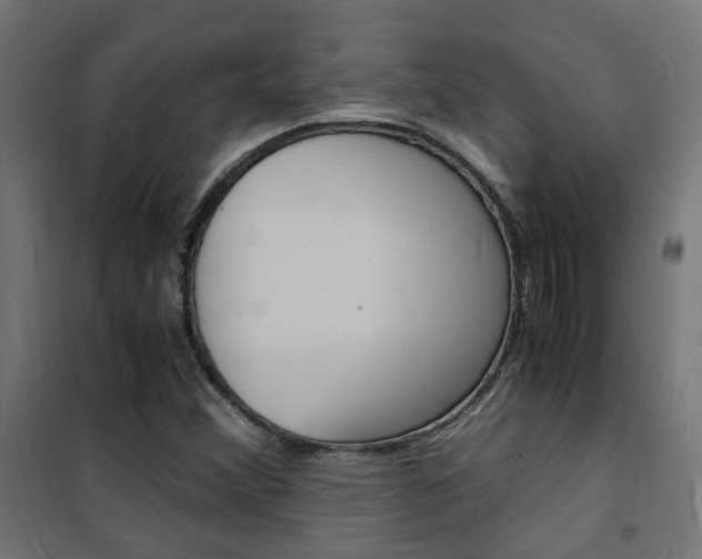 X0000101481356200807071233