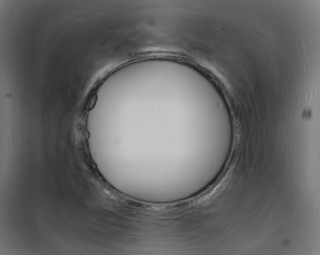 X0000101481357200807071233