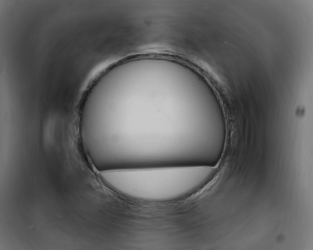 X0000101481358200807071233