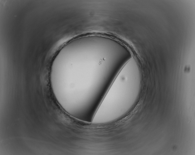 X0000101481359200807071233
