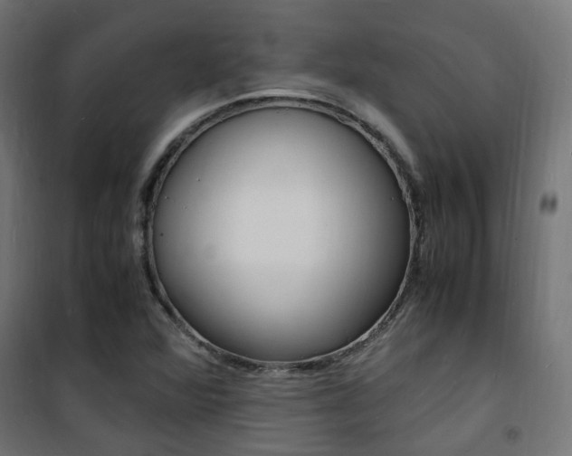 X0000101481360200807071233