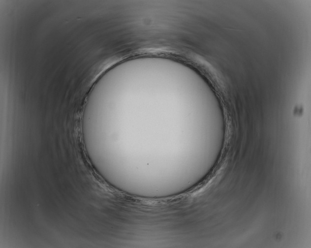 X0000101481361200807071233