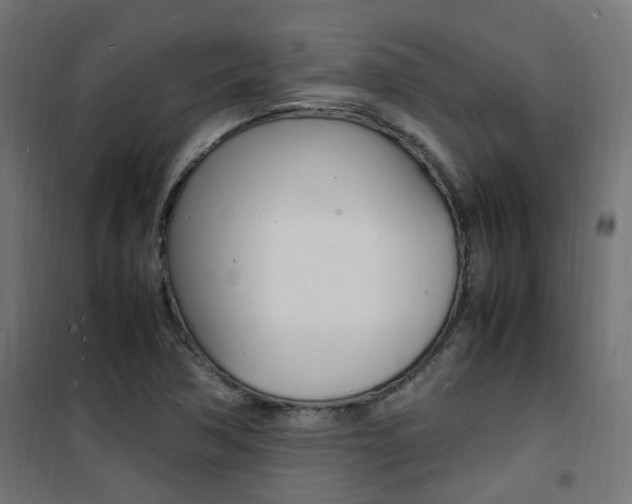 X0000101481362200807071233