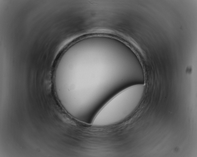 X0000101481364200807071233