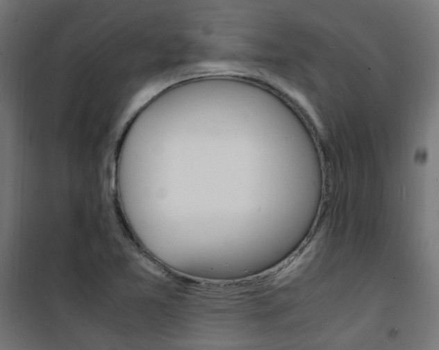 X0000101481365200807071233