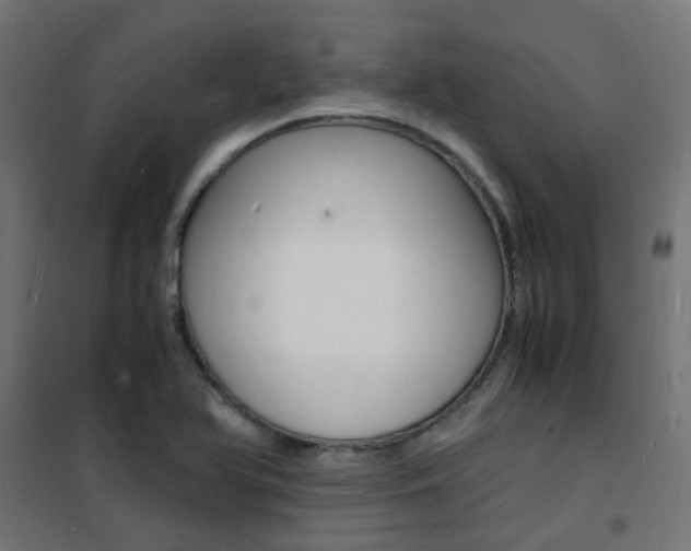 X0000101481366200807071233