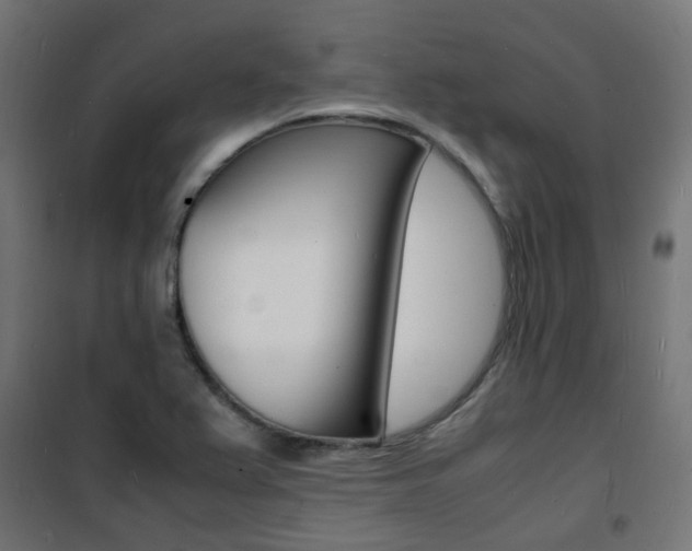 X0000101481367200807071233