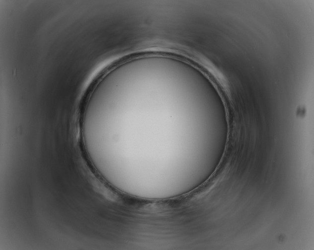 X0000101481368200807071233