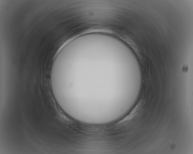 X0000101481369200807071233