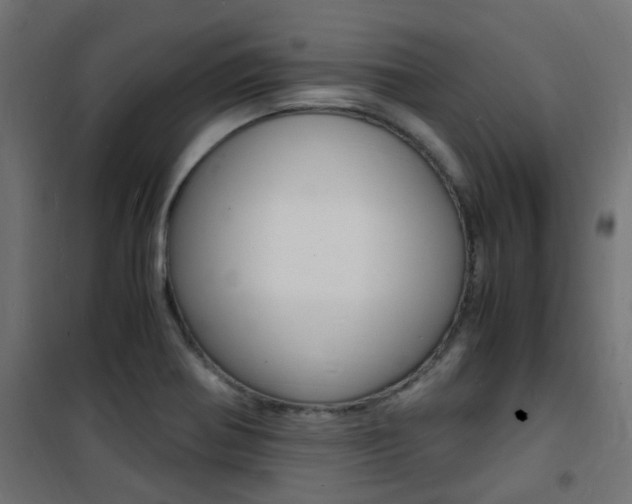 X0000101481370200807071233