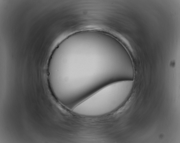 X0000101481373200807071233