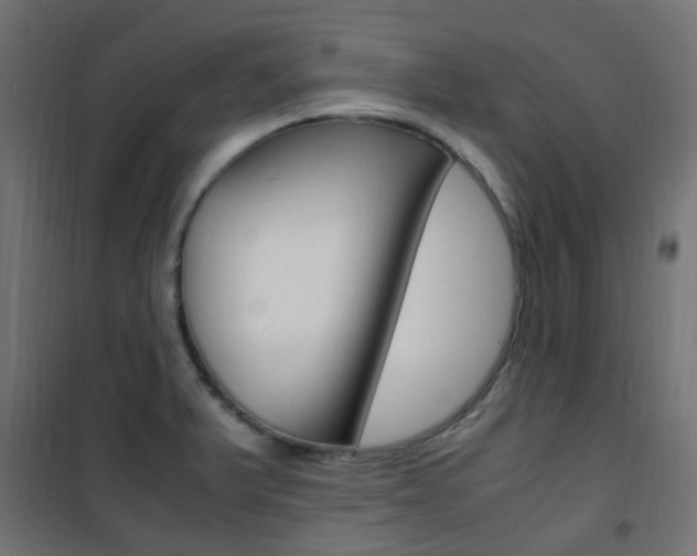 X0000101481375200807071233