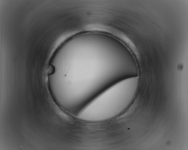 X0000101481376200807071233