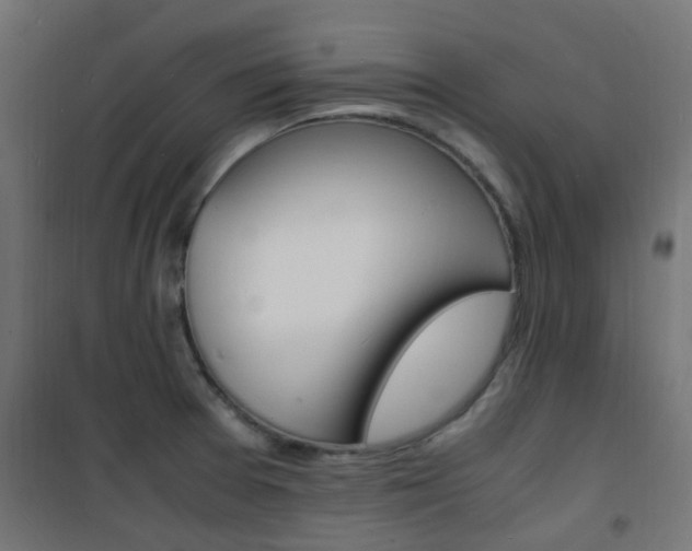 X0000101481377200807071233
