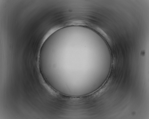 X0000101481378200807071233