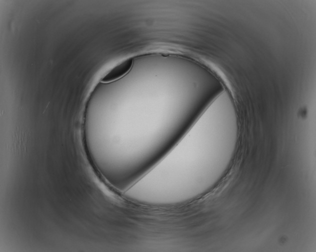X0000101481379200807071233