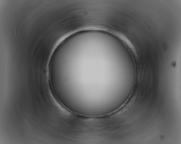 X0000101481380200807071233