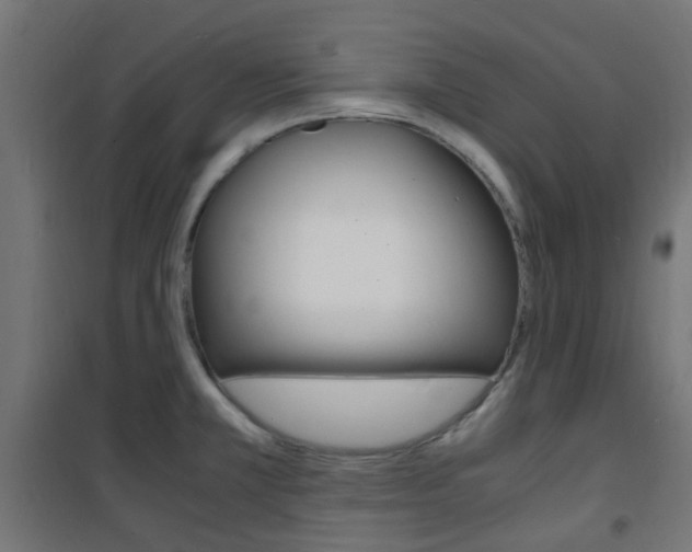 X0000101481381200807071233