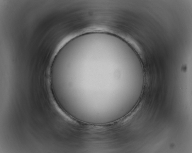 X0000101481382200807071233