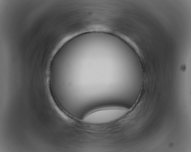 X0000101481383200807071233