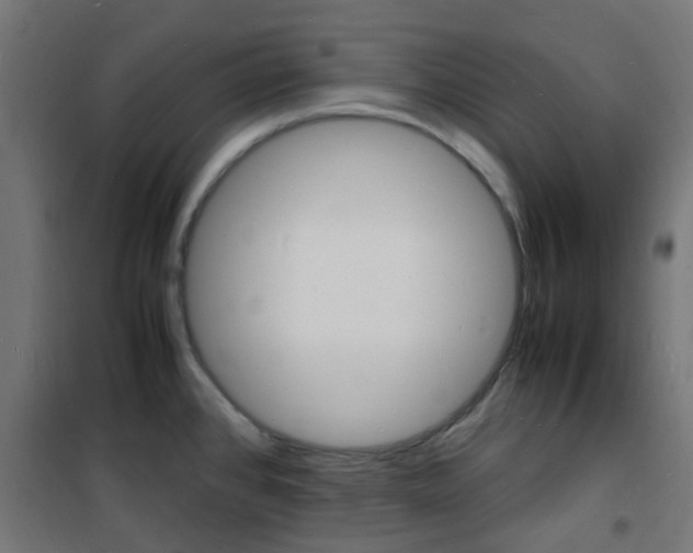 X0000101481384200807071232