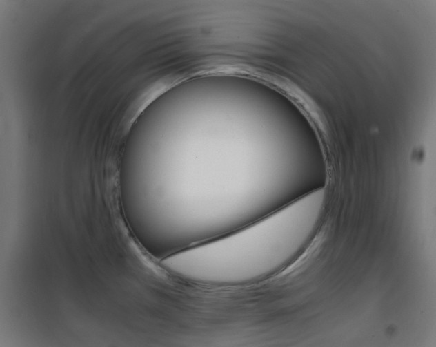 X0000101481385200807071232
